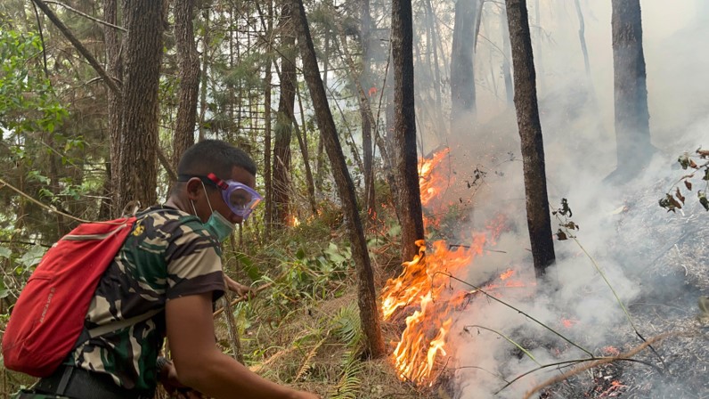 3
